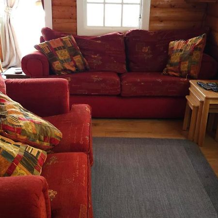 Snowdonia National Park Log Cabin With Garden Trawsfynydd Bagian luar foto