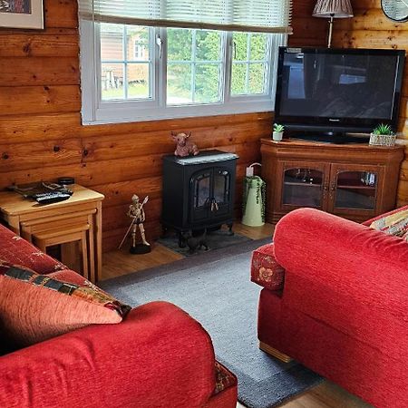 Snowdonia National Park Log Cabin With Garden Trawsfynydd Bagian luar foto