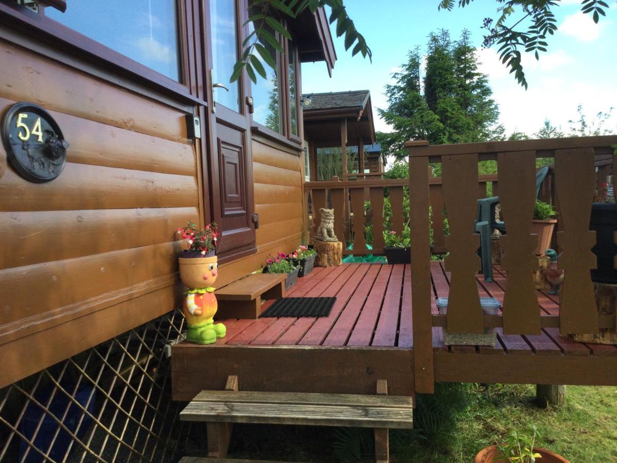 Snowdonia National Park Log Cabin With Garden Trawsfynydd Bagian luar foto