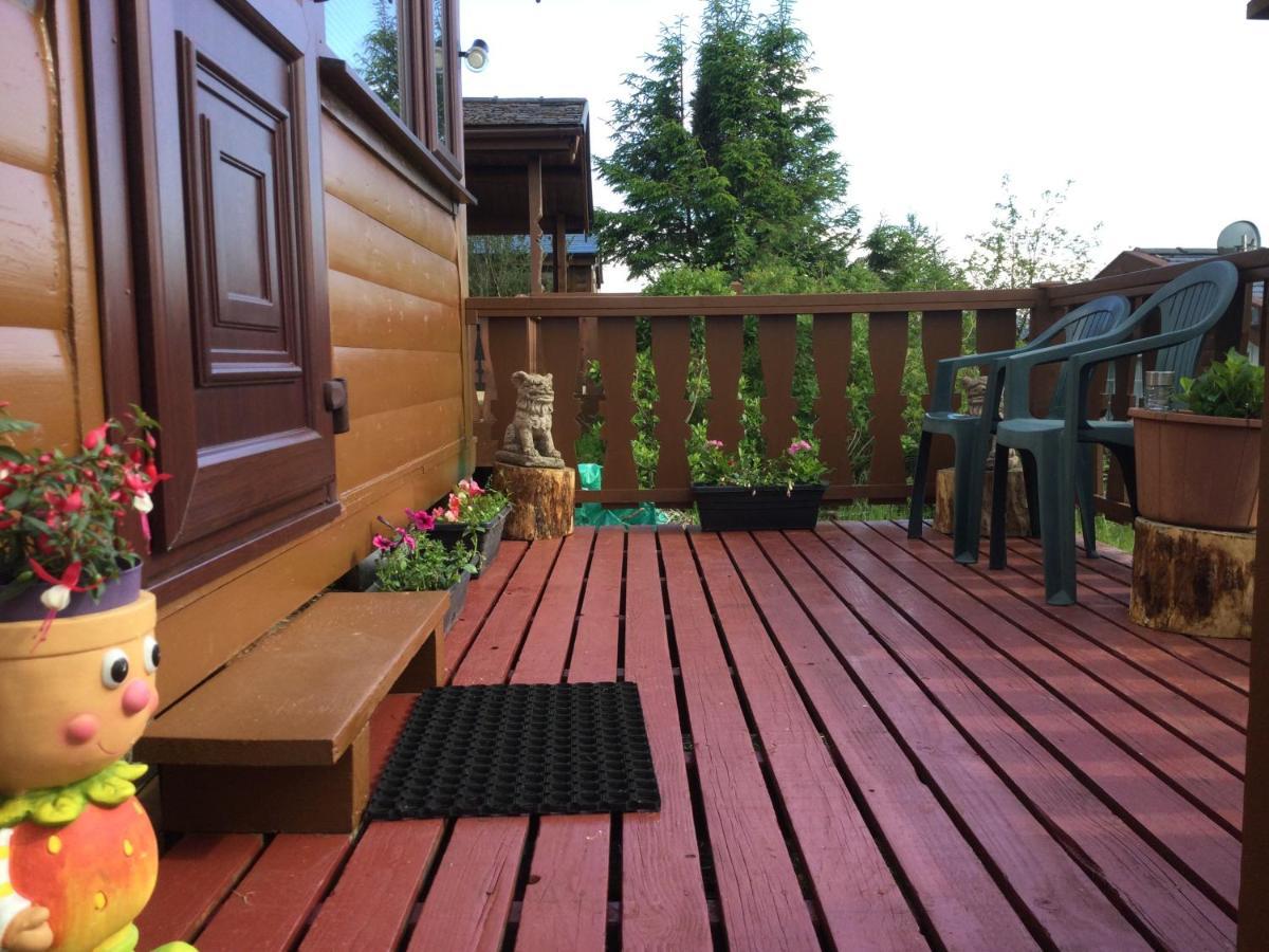 Snowdonia National Park Log Cabin With Garden Trawsfynydd Bagian luar foto